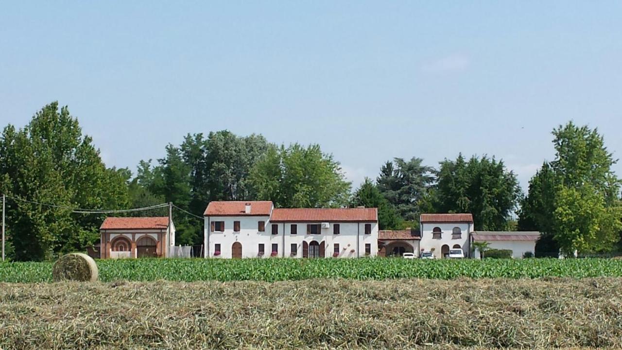La Casa Delle Rondini Bed & Breakfast Roncoferraro Exterior photo